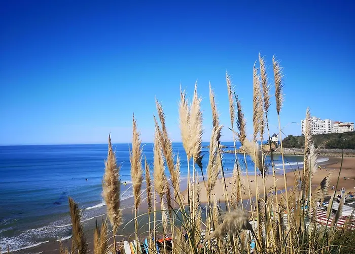 D'hotes Bibicheri Bed & Breakfast 5*